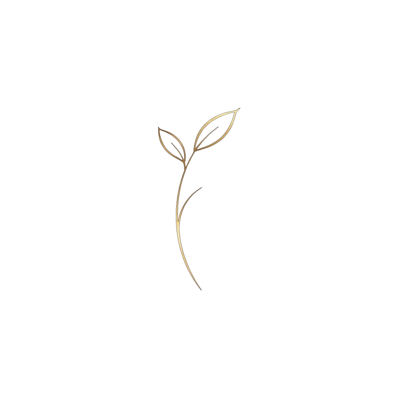 Life Begins Anew